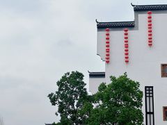 -洋湖国家湿地公园
