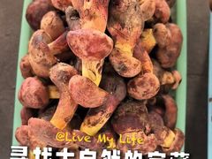 -三锅莊·牦牛肉火锅·香格里拉特色藏餐宴请餐厅(昆明创始店)