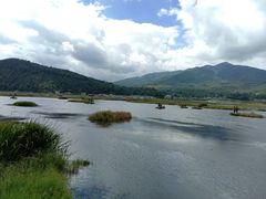 -腾冲北海湿地