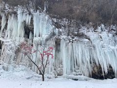 -少华山国家森林公园