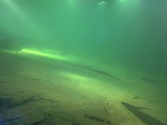 -白鹤梁水下博物馆