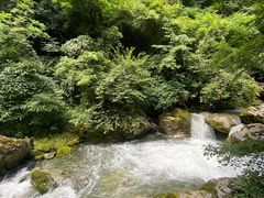-神农架香溪源景区