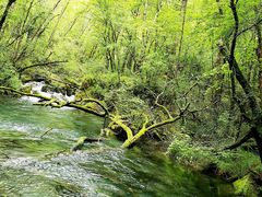 -叠溪松坪沟景区