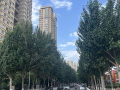 -丁香湖公园