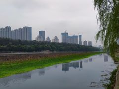 -月湖风景区