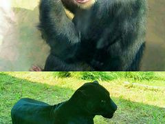 -沈阳森林动物园