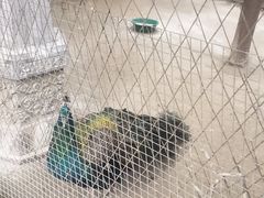 -罔极寺