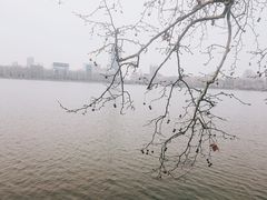 -李公堤