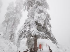 -瓦屋山景区