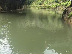 -花溪风景区