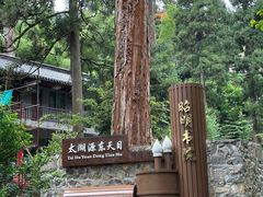 -东天目山风景区