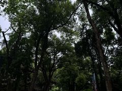 -东湖落雁景区