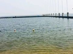-碧海金沙