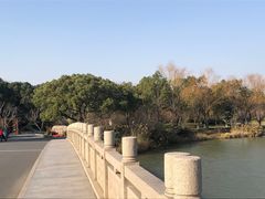 -昆山城市生态森林公园