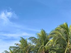 -深圳湾公园(南山区)