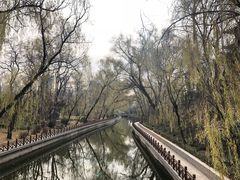 -迎泽公园
