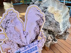 -蓝湾碧波·老字号·疍家非遗海上餐厅