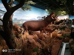 -陕西自然博物馆