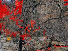 -泰山风景名胜区