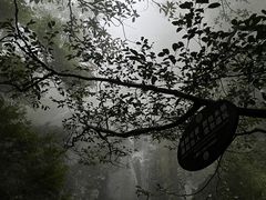 -萍乡武功山风景名胜区