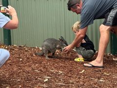 -费瑟代尔野生动物园