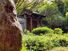 -深圳国际园林花卉博览园