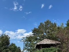 -宝界山林公园