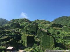 -枸杞岛