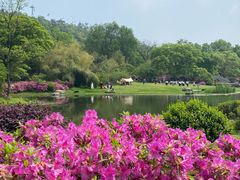 -东湖磨山景区