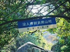-石台牯牛降景区