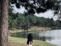 -南京市无想山景区