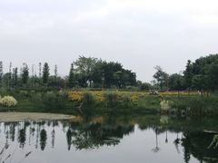 -眉山湿地公园(东坡区)