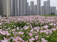 -汉江湾体育公园