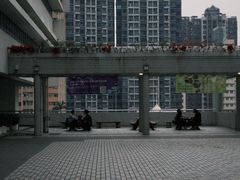 -香港大学