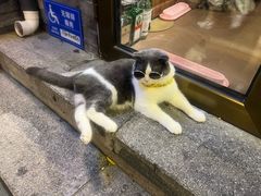 -什刹海