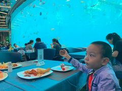 -瑞德姆美人鱼海底演艺主题餐厅(亚龙湾店)