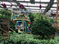 -南宫五洲植物乐园