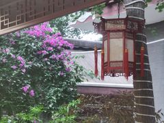 -生宇山珍野生菌汤锅•始于1999(双流古塔店)