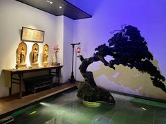 -觀芷隐轩