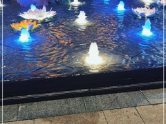 -浦江城市生活广场(江月路店)