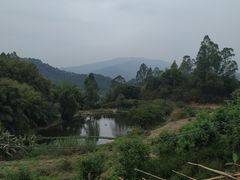 -天强农家菜馆