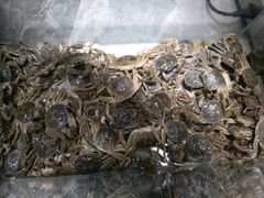 -一号桥自助火锅城(揽秀园西街店)