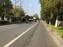 -艾溪湖湿地公园