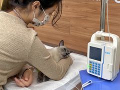 -爱侣宠医·鹦鹉专科·小型哺乳类·异宠专科(灵石路店)