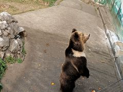 -成都动物园