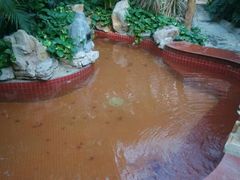 android_upload_pic-金隅凤山酒店