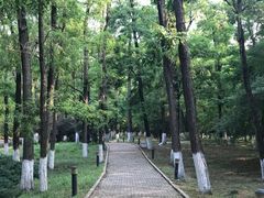 -顺鑫绿色度假村