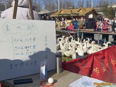 -辛庄国际文化艺术区