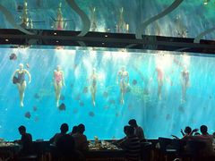 -瑞德姆美人鱼海底演艺主题餐厅(亚龙湾店)