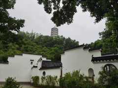 -深圳国际园林花卉博览园